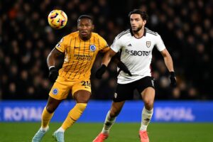 brighton vs fulham prediction